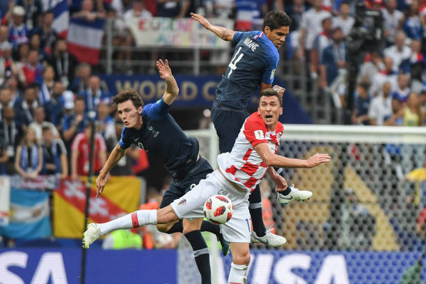 灰熊的韧性 灰熊的韧性